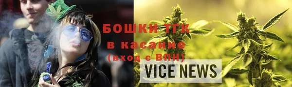 гашик Краснослободск