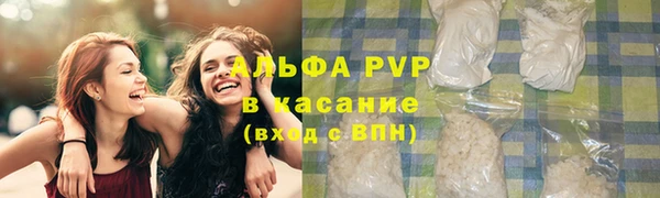 прущие грибы Кодинск