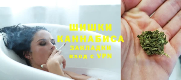 прущие грибы Кодинск