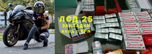 сатива Корсаков