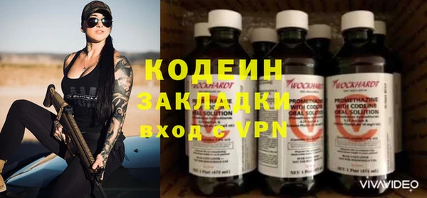 прущие грибы Кодинск