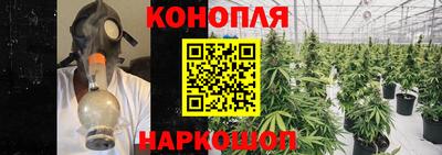 прущие крисы Камышлов
