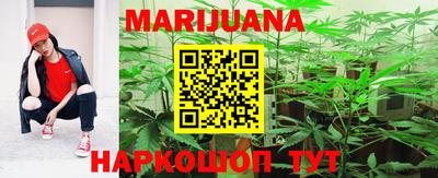 прущие крисы Камышлов