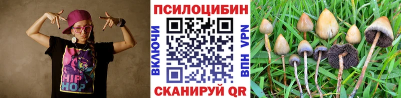 ОМГ ОМГ tor  Ленинск-Кузнецкий  Галлюциногенные грибы Cubensis 