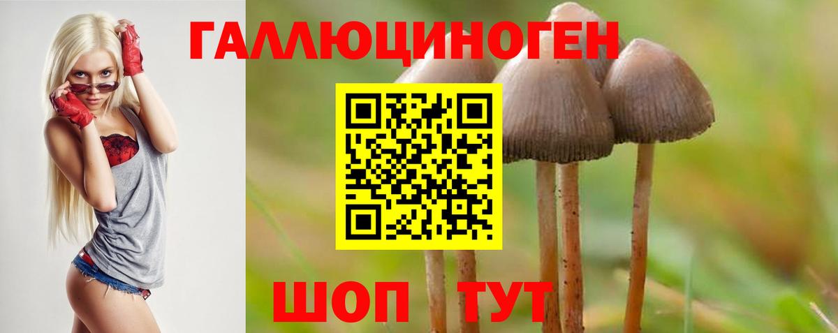 Псилоцибиновые грибы Magic Shrooms Ленинск-Кузнецкий